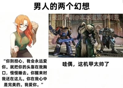 图片为左右拼接的图文混排梗图，标题为“男人的两个幻想”。左侧是红发眼镜娘动漫形象，配文“你别担心，我会永远爱你...你在我心中是完美的。我爱你。”展现浪漫爱情幻想；右侧是三名身着厚重装甲的机甲战士（疑似战锤40K风格），配文“哇偶，这机甲太帅了”展现对酷炫机甲的喜爱。通过对比幽默呈现男性两种常见幻想。