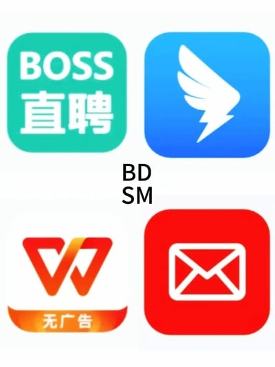 图片为2x2网格排列的四个知名APP图标，配合中央文字形成谐音梗玩笑。具体为：左上角是绿色背景的“BOSS直聘”图标，右上角是蓝色背景带白色翅膀闪电图标的飞书（Feishu）图标，左下角是橙色“W”形图标的WPS（标注“无广告”），右下角是红色背景带白色信封图标的邮箱应用。图标中间用黑色文字标注“BD SM”，利用四个APP名称首字母（BOSS直聘-B、飞书-D、WPS-S、邮箱-M）组合成“BDSM”的缩写，制造幽默调侃效果。