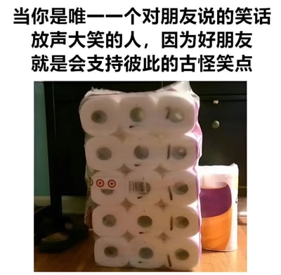 图片上方配有文字：'当你是唯一一个对朋友说的笑话放声大笑的人，因为好朋友就是会支持彼此的古怪笑点'，下方是一张堆叠的卫生纸卷照片。通过夸张的卫生纸堆暗示因大笑而可能产生的生理反应，幽默地表现了好朋友之间即使笑点古怪也会互相支持的温暖情谊。