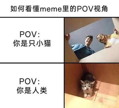 这是一张四格图文混排的meme教程图，通过对比视角来解释POV概念。图片分为2x2的网格布局：左上角文字为"POV: 你是只小猫"，右上角是一对男女微笑着从纸箱外向内看的照片；左下角文字为"POV: 你是人类"，右下角是一只小猫从纸箱内向上看的照片。通过这种上下对比的方式，直观展示了不同视角下的场景差异。