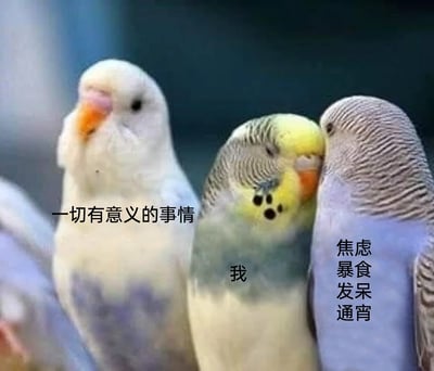 暂无描述