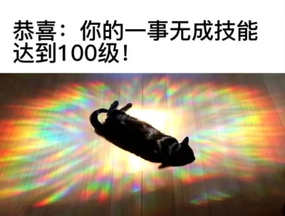 这是一张带有自嘲意味的搞笑图文梗图，整体为横版静态图。图片上方是醒目的黑色粗体文字“恭喜：你的一事无成技能达到100级！”，下方是一只黑白花色的猫咪，四脚朝天悬浮在木质地板上，猫咪身后添加了放射状的彩虹色光晕，营造出类似游戏角色技能满级、觉醒的炫酷视觉效果。用炫酷的特效和“技能满级”的表述，与“一事无成”的内容形成强烈反差，以幽默反讽的方式调侃自己在生活或工作中没有取得什么成就，充满自嘲的趣味。