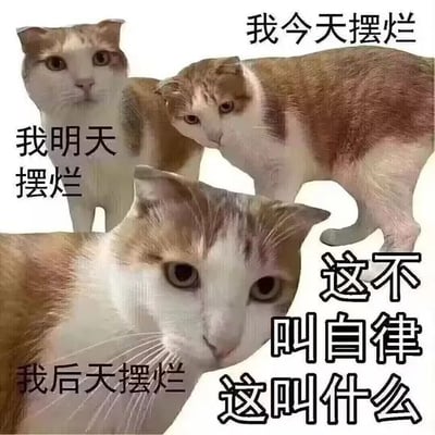 图片中包含多只橘白相间的猫咪，分别配有文字“我今天摆烂”“我明天摆烂”“我后天摆烂”，右下角有文字“这不叫自律 这叫什么”。通过猫咪连续摆烂的场景与“自律”概念形成反差，制造幽默效果，调侃将持续摆烂错误定义为自律的行为。