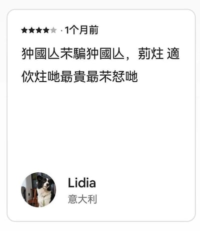这是一张社交媒体的用户评论截图，发布者是来自意大利的用户Lidia，其头像为一只看向镜头、神态温和的黑白边境牧羊犬。该评论发布于1个月前，给出了四星（四颗黑色星、一颗灰色星）的评价，评论内容使用了形近生僻字进行恶搞式书写，转换为规范简体中文后是“中国人不骗中国人，别住，这住的是最贵最闹心的”，明确表达了对所体验的住宿场所的不满，认为其价格高昂但体验感极差。