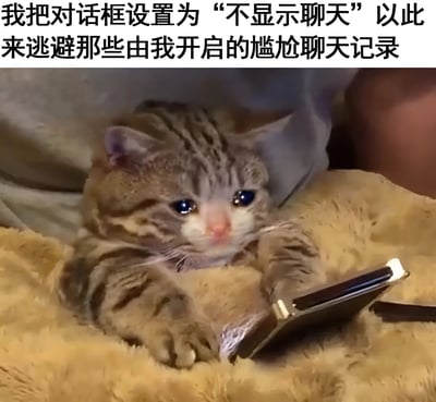 图片上方配有文字‘我把对话框设置为“不显示聊天”以此来逃避那些由我开启的尴尬聊天记录’，下方是一只虎斑小猫咪趴在米黄色毛绒毯子上，用前爪抱着一部智能手机，睁着一双蓝色的大眼睛专注地看着屏幕，表情显得无辜又略带无奈。图文结合幽默地展现了人们为逃避自己引发的尴尬聊天记录而采取的‘眼不见为净’的行为，充满生活气息和共鸣感。