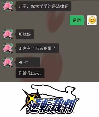 这是一张上下拼接的合成搞笑梗图，上半部分为微信聊天记录截图，发言方使用中老年群体常用的粉色荷花头像，昵称为“好运连连”，代表长辈身份，长辈先询问儿子是否大学就读法律专业，得到儿子肯定答复后，告知儿子家中有亲戚犯事，要求儿子把犯事的亲戚救出来，体现了部分长辈对法律专业的功能存在不符合实际的过度想象；下半部分是经典推理游戏《逆转裁判》的官方logo，包含游戏主角成步堂龙一伸手指向前方的标志性剪影，借用游戏里律师为委托人辩护、实现剧情逆转的设定玩梗，调侃长辈的离谱要求仿佛是要学法律的人完成“逆转裁判”级别的奇迹，笑点鲜明。