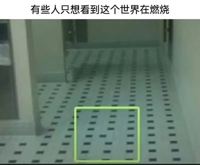 这是一张结合视觉错觉与网络调侃的静态梗图，画面上方配有黑色文字“有些人只想看到这个世界在燃烧”，下方展示的是室内的盲道地面，地面由规律排列的黑色短条形盲道标识和浅色地面组成。其中被绿色方框标注的区域，在视觉错觉的作用下，原本规整的盲道图案看起来如同跳动的火焰，与上方的文字形成呼应，以此调侃那些总是期待混乱、负面事件发生，怀揣“盼着出事”心态的人群，通过日常场景的视错觉效果制造出趣味的梗点。