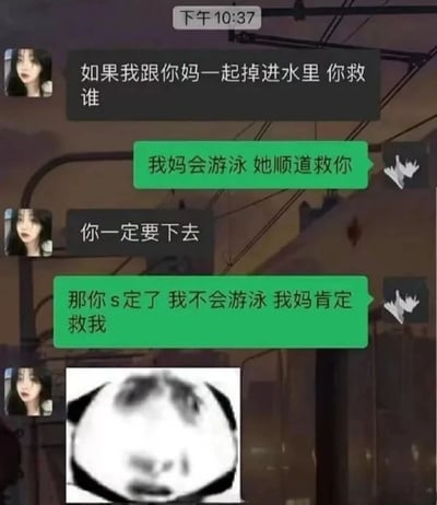 这是一张聊天记录截图，展示了对经典“母亲和女友落水先救谁”问题的幽默回复。对话中，一方提出“如果我跟你妈一起掉进水里你救谁”，另一方先回答“我妈会游泳 她顺道救你”，在对方坚持“你一定要下去”后，回应“那你s定了 我不会游泳 我妈肯定救我”，最后附带一张表情震惊的熊猫头表情包，整体充满调侃和搞笑氛围。
