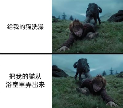 这是一张上下分栏的对比式搞笑梗图，采用《哈利·波特》系列电影中罗恩被狼人拖拽的经典场景进行二次创作。上半部分配文“给我的猫洗澡”，对应罗恩被拖拽、痛苦挣扎的画面，生动还原了铲屎官给猫洗澡时，被猫激烈反抗折腾得狼狈不堪的状态；下半部分配文“把我的猫从浴室里弄出来”，画面中罗恩被反向拖拽，精准调侃了猫洗完澡后赖在浴室不肯离开，铲屎官依旧要经历一番“苦战”的真实养猫日常，充满搞笑与无奈的氛围，精准戳中养猫人群的共鸣点。