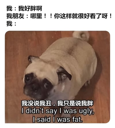 这是一张幽默梗图，展示了一个常见的社交场景：当我说"我好胖啊"时，朋友急忙安慰说"哪里！！你这样就很好看了呀！"。图中用一只表情无辜的哈巴狗形象来代表说话者，并配上文字"我没说我丑，我只是说我胖"，巧妙地表达了对朋友误解的无奈和幽默。图片下方还有英文翻译："I didn't say I was ugly, I said I was fat."