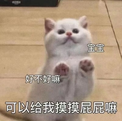 一只白色的小猫站立在瓷砖地板上，前爪抬起，露出粉色的肉垫，表情天真可爱。图片上添加了三行文字：“宝宝”、“好不好嘛”和“可以给我摸摸屁屁嘛”，模仿小猫用撒娇的语气请求抚摸，营造出萌系可爱的氛围。