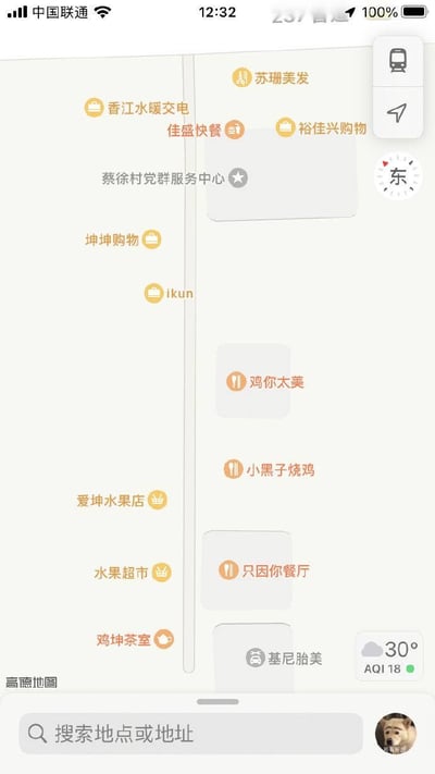 这是一张竖屏的高德地图手机端截图，地图上的所有地点名称都被替换成了围绕蔡徐坤的网络梗内容，充满趣味：
1. 粉丝相关：设置了「蔡徐村党群服务中心」「ikun」「爱坤水果店」「坤坤购物」这类关联蔡徐坤粉丝群体「ikun」的地点；
2. 玩梗店铺：出现了「鸡你太美」「小黑子烧鸡」「只因你餐厅」「基尼胎美」「鸡坤茶室」这类使用蔡徐坤相关谐音梗和网络梗的店铺名称，其中「只因你餐厅」是歌曲《只因你太美》的谐音，「基尼胎美」是「鸡你太美」的变体，「小黑子」是调侃蔡徐坤的网友自称；
整幅图通过替换地图地点名称，把网络玩梗融入到地图界面中，风格搞笑有趣。