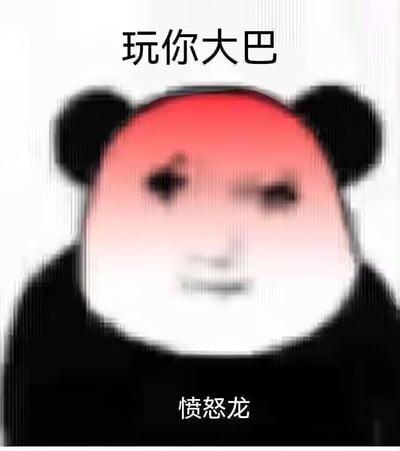 这是一张二次创作的熊猫头表情包，将熊猫头部替换成泛红模糊的愤怒人脸，上方配文“玩你大巴”（谐音脏话，用于强烈吐槽），下方标注“愤怒龙”，整体视觉模糊，强化了愤怒烦躁的情绪，适合在游戏失利、遭遇不满时用来宣泄情绪、吐槽。