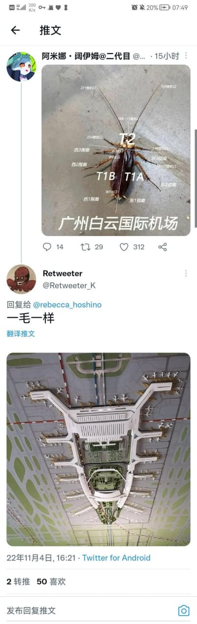 该图为社交媒体截图，展示了上下两张对比图片。上方是一条蟑螂的照片，其背部被标注了“T2”“T1B”“T1A”等字样，并配有“广州白云国际机场”的文字；下方是广州白云国际机场航站楼的航拍布局图。两者因形状高度相似，被网友用“一毛一样”的评论进行幽默调侃，通过视觉联想制造笑点，引发对机场建筑布局的趣味讨论。