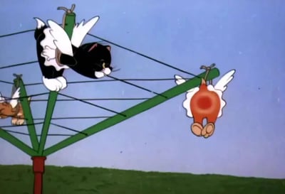 画面中一只黑白相间的猫长着白色翅膀，正专注地攀爬在绿色的三角架结构上，爪子紧紧抓住绳索。架子另一端悬挂着一个橙色的圆形生物，同样长着白色翅膀，背景是清澈的蓝天和绿色草地。整个场景充满了经典卡通的怀旧感和奇幻色彩。