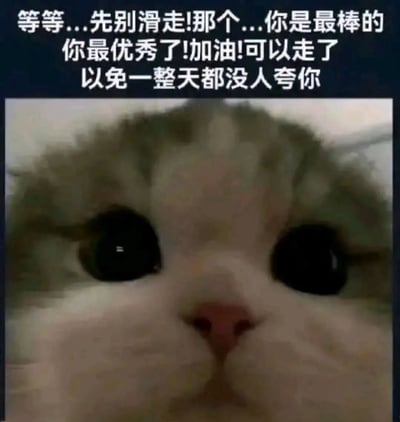 图片上方有白色文字“等等...先别滑走!那个...你是最棒的 你最优秀了!加油!可以走了 以免一整天都没人夸你”，下方是一只猫咪的面部特写，猫咪有着大大的眼睛，毛色为灰白相间，表情看起来真诚且略带期待，整体营造出一种温暖治愈的氛围，旨在给看到图片的人送上及时的鼓励和肯定。
