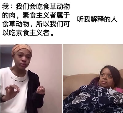 这是一张搞笑梗图，上方文字内容为一个逻辑谬误笑话："我：我们会吃食草动物的肉，素食主义者属于食草动物，所以我们可以吃素食主义者。"右侧配有"听我解释的人"文字。下方分为左右两张图片，左侧是一位戴发带的人双手比划着认真解释的样子，右侧是一位躺在沙发上盖着星星图案毯子的人露出震惊疑惑的表情，形成鲜明对比，通过错误的逻辑推理制造幽默效果。