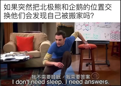 这张图片是一个流行的网络梗图，上方配有文字“如果突然把北极熊和企鹅的位置交换他们会发现自己被搬家吗？”，中间是《生活大爆炸》中谢尔顿·库珀的截图，他表情专注且急切地前倾身体，一手撑在凳子上，下方配有文字“我不需要睡眠，我需要答案 I don't need sleep. I need answers.”。图片通过将一个看似无厘头的科学问题与谢尔顿执着追求答案的性格特点相结合，创造出幽默效果。