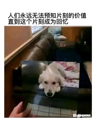 暂无描述