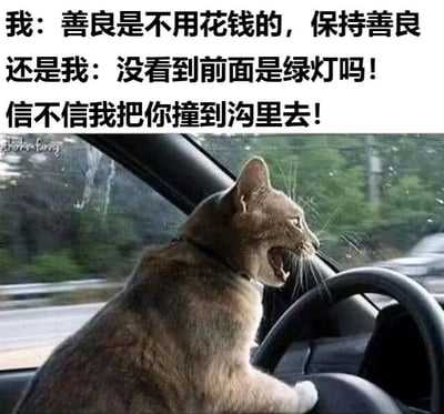 一张展现人格反差的搞笑梗图。上方文字分为两部分，左侧写着“我：善良是不用花钱的，保持善良”，右侧写着“还是我：没看到前面是绿灯吗！信不信我把你撞到沟里去！”，形成平时善良与开车时暴躁的鲜明对比。下方配图是一只猫坐在汽车驾驶座上，前爪搭在方向盘上，嘴巴大张，表情愤怒，仿佛正在对前方车辆大喊，生动演绎了文字中“开车时的我”的暴躁状态，通过动物拟人化和文字反差制造幽默效果。
