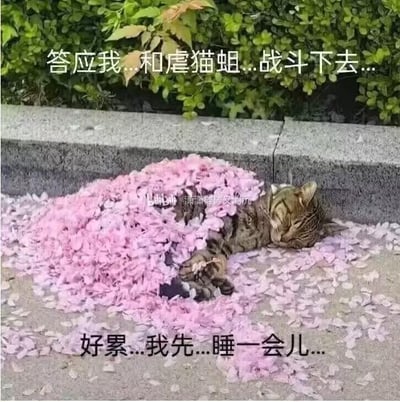 这是一张经过文字加注的P图，画面主体是一只真实的猫咪，侧躺在铺满粉色花瓣的户外石质地面上，双眼紧闭，看起来十分困倦疲惫。图中添加了两行拟人化的文字，上方文字为“答应我...和虐猫蛆...战斗下去...”，下方文字为“好累...我先...睡一会儿...”，将猫咪塑造成与虐猫者“战斗”后精疲力竭的形象，以此拟人化的方式呼吁人们抵制虐猫行为，传递出反对动物虐待的态度，风格恳切又带着疲惫感，容易引发人们对反虐猫议题的共鸣。