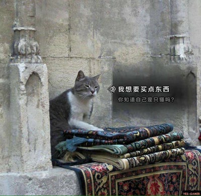 这是一张趣味二次创作梗图，主体是真实拍摄的一只灰白相间的猫咪，它趴在石台上的堆叠花色地毯后方，前爪搭在地毯上，神态严肃，仿佛是在经营地毯生意的商贩。图中添加了两段对话文字，模拟顾客前来购物的场景，同时用“你知道自己是只猫吗？”的吐槽，调侃猫咪拟人化的姿态，营造出荒诞搞笑的趣味效果，让人忍俊不禁。