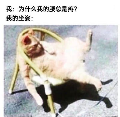 这是一张趣味梗图，通过上下呼应的内容制造笑点。上方文字分为两部分，第一句是“我：为什么我的腰总是疼？”，以自问的方式抛出问题，第二句“我的坐姿：”引出下方的图片。配图是一只橘猫，它的身体完全扭曲，以非常不端正、违背身体工学的姿势挤在一把小型椅子里，姿态看起来既滑稽又不健康。这张图用猫咪的离谱坐姿来类比自己日常的不良坐姿，幽默地揭示了腰疼的根本原因，精准戳中了许多有久坐、坐姿不端正习惯人群的痛点，引发共鸣的同时也用搞笑的方式提醒人们注意坐姿健康。