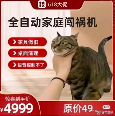 这是一张模仿促销广告风格的搞笑猫咪图片，将调皮的猫咪戏称为"全自动家庭闯祸机"。图片中一只虎斑猫被人抓住脖子，露出惊讶的表情。广告式设计列出了猫咪的三大"功能":家具做旧、桌面清理和语音控制不了，幽默地描述了猫咪的调皮行为。价格从原价49元夸张地提高到惊喜到手价4999元，形成强烈反差萌笑点。