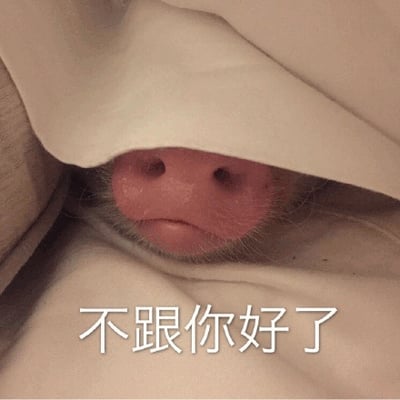 图片近距离拍摄了一只宠物猪的粉色鼻子和嘴巴，它躲在白色的被子里，只露出一小部分面部。猪的鼻子圆润，鼻孔清晰可见，嘴角微微下撇，带着一丝委屈的表情。图片底部有一行白色文字“不跟你好了”，整体营造出一种可爱又略带俏皮的 sulking 氛围，像是小动物在闹别扭撒娇。