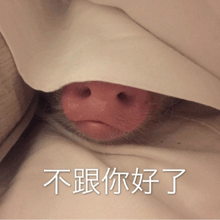 躲在被子里的猪鼻子：不跟你好了