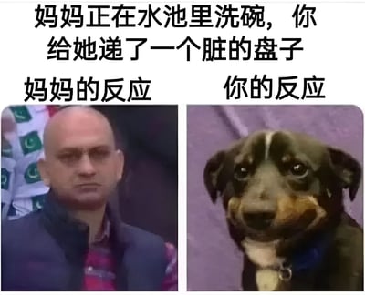 这是一张左右对比的梗图，上方文字描述场景：'妈妈正在水池里洗碗，你给她递了一个脏的盘子'。左侧标注'妈妈的反应'，配图为一位戴眼镜的光头男性，表情严肃，眼神略带不满；右侧标注'你的反应'，配图为一只表情愧疚、眼神无辜的小狗。通过人物与动物表情的夸张对比，幽默展现了日常生活中给正在忙碌的妈妈添麻烦后的尴尬场景。