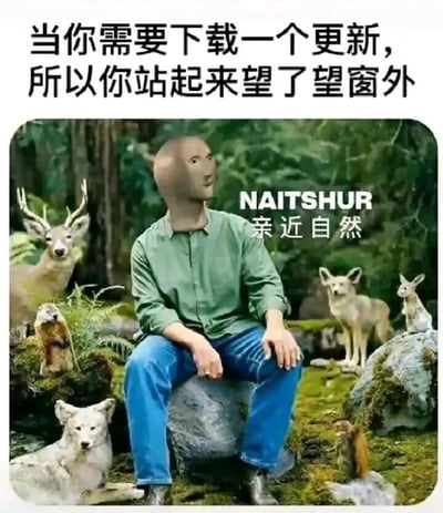 这是一张趣味恶搞梗图，上方配有文字“当你需要下载一个更新，所以你站起来望了望窗外”，下方的图片是经过创作改编的场景：一个头部造型怪异的人物坐在布满苔藓的石头上，周围环绕着鹿、狐狸、兔子、松鼠等多种野生动物，仿佛身处原始森林之中，图的右侧还有英文“NAITSHUR”和中文“亲近自然”的字样。这张图用夸张的方式调侃了人们在等待软件、系统下载更新的漫长间隙里，短暂从电子设备前抽离望向窗外时，仿佛瞬间进入了自然环境的有趣心理，是对日常摸鱼时刻的幽默演绎，其中怪异的人物形象也增添了荒诞搞笑的氛围。