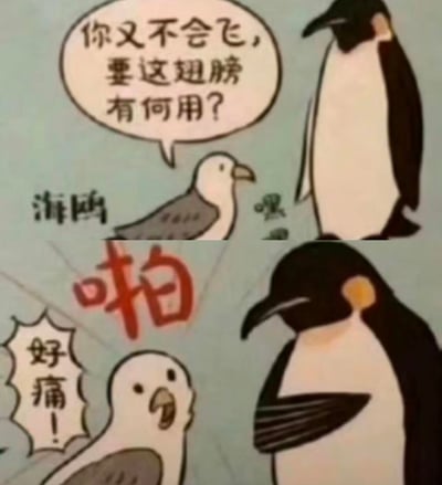 这是一幅上下分栏的连环卡通梗图：上半部分里，海鸥对着企鹅发出嘲讽：“你又不会飞，要这翅膀有何用？”，语气充满不屑；下半部分中，企鹅直接用自己的翅膀扇了海鸥，配着拟声词“啪”，海鸥则一脸痛苦地喊出“好痛！”。这张图用“打脸”的实际行动反驳了海鸥对翅膀无用的质疑，通过强烈的反差制造出搞笑又解气的效果，适合用来回怼那些嘲讽自身“无用”特质的言论。