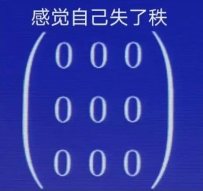 这是一张结合线性代数专业知识的谐音梗图，画面主体是一个3行3列的全零矩阵，矩阵被括号包裹，上方配有白色文字“感觉自己失了秩”。
- 谐音梗解析：在线性代数的定义中，全零矩阵的秩为0，配文“失了秩”谐音网络流行语“失了智”，用数学概念玩梗，生动表达出自己状态糟糕、脑子不清醒、精神崩溃的无奈情绪，很容易让学习数学的群体产生共鸣。