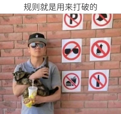 图片中一名戴着黑色帽子和墨镜的男子，怀抱一只猫咪，左手拿着一杯带吸管的饮料，右手握着一个瓶子，站在一面红砖墙上。墙上贴有六个圆形禁止标志，分别是禁止停车（P）、禁止猫咪、禁止太阳镜、禁止猫咪（重复）、禁止饮食（汉堡饮料图案）、禁止瓶子。图片顶部配有文字“规则就是用来打破的”，形成强烈反差——男子的所有行为（戴墨镜、抱猫、持饮料和瓶子）均违反了身后的禁止标志，通过夸张的场景营造出幽默讽刺的效果。