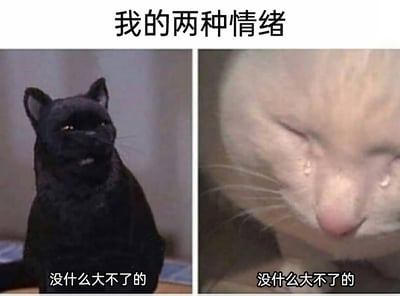 这是一张左右分栏的对比式表情包，顶部标题为“我的两种情绪”。左侧是一只神态不屑、坐姿端正的黑猫，配文“没什么大不了的”，呈现出一副洒脱、满不在乎的外在状态；右侧是一只低头崩溃、泪流满面的白猫，同样配文“没什么大不了的”，展现出内心极度委屈、难过的真实情绪。图片通过相同配文下两只猫的强烈表情反差，精准刻画了当代人在面对挫折、难过的事情时，嘴上逞强装作无所谓，实则内心早已崩溃的矛盾心理，引发人们的情绪共鸣。