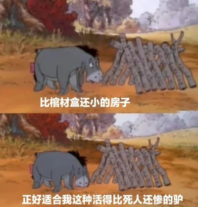 图片为上下两格对比的动画截图改编梗图，使用《小熊维尼》中的角色屹耳。上格中灰色小驴屹耳站在一堆杂乱木棍前，配文“比棺材盒还小的房子”；下格中屹耳低头靠近木棍堆，配文“正好适合我这种活得比死人还惨的驴”。通过将简陋木棍堆比作棺材盒大小的房子，结合屹耳本身悲观的性格，用自嘲方式表达生活困顿、处境艰难的无奈情绪。