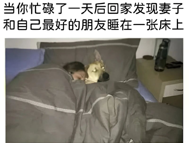 妻子