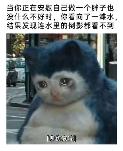 这张梗图结合了一只表情悲伤的胖猫咪图片和幽默文字。顶部文字描述了一个场景：当你试图安慰自己胖没关系时，看向水坑却发现连倒影都看不到，这种反差带来了搞笑又无奈的效果。图片下方的“悲伤哀嚎”字幕进一步强化了猫咪的情绪，让整个梗图既 relatable 又充满趣味。