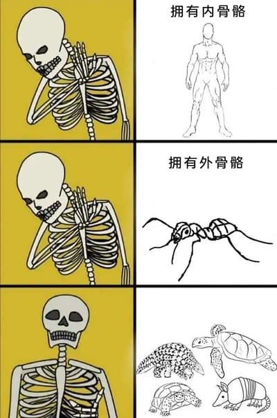 这是一幅三行两列的趣味科普梗图，通过卡通骷髅的表情变化来对应不同骨骼类型的生物：第一行右侧标注“拥有内骨骼”，搭配人类身体轮廓线稿，左侧骷髅手托腮低头，表情低落；第二行右侧标注“拥有外骨骼”，搭配蚂蚁线稿，左侧骷髅保持低落姿态；第三行未标注文字，右侧是穿山甲、海龟、乌龟、犰狳这类同时具备内骨骼和外骨骼（硬质外壳为骨化结构，体内存在内骨骼）的生物线稿，左侧骷髅抬起头，表情变得惊讶兴奋，以此制造反差笑点，调侃这类生物打破了前两类的常规分类，以幽默的方式科普生物骨骼的多样性。