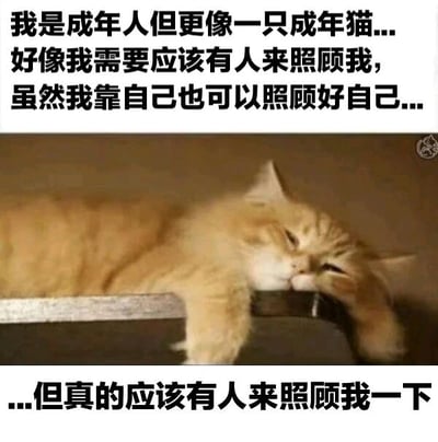 图片上方和下方配有文字，表达成年人虽然能独立照顾自己但内心仍渴望被照顾的矛盾心理。中间是一只橘色猫咪闭眼趴在物体边缘，姿态慵懒放松，仿佛在呼应文字中的情绪。文字内容为：'我是成年人但更像一只成年猫...好像我需要应该有人来照顾我，虽然我靠自己也可以照顾好自己......但真的应该有人来照顾我一下'。