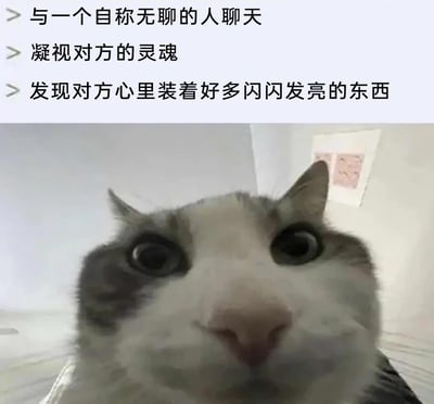 这是一张图文混排的趣味表情包，上方配有三段递进式文字：“与一个自称无聊的人聊天”“凝视对方的灵魂”“发现对方心里装着好多闪闪发亮的东西”，下方是一只近距离贴近镜头、圆睁双眼的猫咪。猫咪惊讶又专注的表情，生动地呼应了文字所表达的反差感——当人们深入接触一个看似无聊的人时，意外发现其内心世界的丰富与有趣，整体氛围温暖又充满调侃意味，适合用于社交互动中表达这种意外的惊喜感。