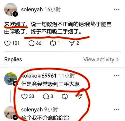 这是一张社交媒体评论截图，展示了用户solenyah发布的内容：'来欧洲了，说一句政治不正确的话:我终于能自由呼吸了，终于不用吸二手烟了。' 随后另一用户kokikoki69961回复：'但是会经常吸到二手大麻'，原作者回应：'这个我不介意哈哈哈'。评论内容形成了有趣的对比和幽默效果。