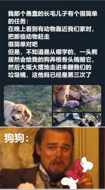 该梗图通过图文结合的方式讲述了一个搞笑故事：主人交代狗狗晚上赶走靠近家的动物，结果狗狗被熊用骨头贿赂，导致熊三次闯入翻垃圾桶。图片上方为黑色背景的文字叙述，中间是两张金毛犬与骨头的照片（一张叼着骨头躺草地上，一张正在啃骨头），下方是莱昂纳多·迪卡普里奥的夸张表情图，配文“狗狗：”，幽默展现狗狗“被收买”后的状态。