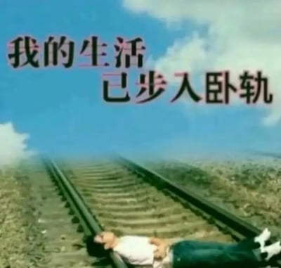 图片展示了一段延伸至远方的铁轨，铁轨上躺着一个人。上方有醒目的文字'我的生活已步入卧轨'，使用了双关语，字面意思是身体躺在铁轨上，实际表达的是生活陷入困境、失去方向的无奈情绪。