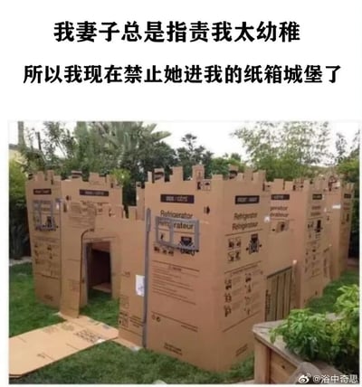 这是一张趣味梗图，画面展示了在户外草坪上，用多个冰箱的包装箱纸板搭建出的一座城堡，城堡有城门和城垛的造型，还原了城堡的外观。配文为“我妻子总是指责我太幼稚
所以我现在禁止她进我的纸箱城堡了”，用成年人赌气式的幼稚行为回应妻子的吐槽，制造出反差感，十分搞笑。