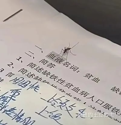 图片近距离拍摄了一张写有医学笔记的纸张，内容包含印刷体的‘血液名词：贫血’和手写的‘简述缺铁性贫血病人口服铁剂的注意事项’等学习内容。一只蚊子恰好停留在‘贫血’文字上方，形成了‘蚊子吸血’与‘贫血’医学概念的趣味联想，画面充满生活气息与学习场景的幽默反差。