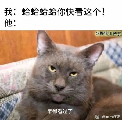 这是一张充满生活共鸣的搞笑表情包，采用图文混排的形式呈现。上方文字模拟分享者的视角，用“蛤蛤蛤蛤你快看这个！”的表述，生动展现了发现有趣内容后，急切想要和他人分享的兴奋、雀跃状态；下方是一只趴在花纹垫子上的灰色猫咪，它眼神嫌弃、嘴角下撇，表情冷漠又不耐烦，配文“早就看过了”，精准还原了被分享者冷淡回应的场景。整张图通过分享者的热情与被分享者的冷漠之间的强烈反差，精准戳中了很多人生活中兴冲冲分享趣事却被泼冷水的尴尬、扎心瞬间，用动物的拟人化表情放大了这种情绪反差，搞笑又真实，很容易引发网友的共鸣。