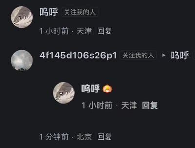 展示了社交媒体平台上的评论区互动场景，包含用户“呜呼”与另一用户“4f145d106s26p1”的回复记录，显示了发布时间（1小时前、1分钟前）和地点（天津、北京）信息。用户“呜呼”的头像为一条鱼的图片，另一用户头像为风景图。
