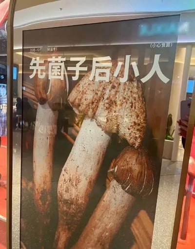 这是一张用于线下场景的鲜菌季宣传海报，海报主体展示了几朵形态饱满的新鲜野生菌实物图，画面上方左侧标注“6月-10月 鲜菌季”，明确活动时间；右上角标注“(小心食菌)”，提醒消费者食用野生菌的安全注意事项；核心宣传语为“先菌子后小人”，巧妙谐音俗语“先君子后小人”，用趣味化的谐音梗突出海报的菌子食材主题，增强宣传的记忆点，吸引顾客在鲜菌季到店品尝野生菌料理。